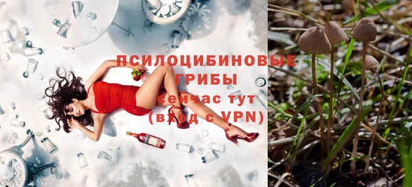 спайс Алексин