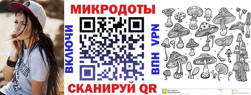 Псилоцибиновые грибы Cubensis  darknet какой сайт  Навашино 